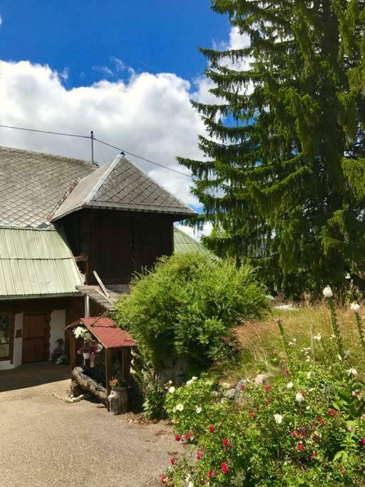 Echtes Schwarzwaldhaus - Traditionell & Modern *