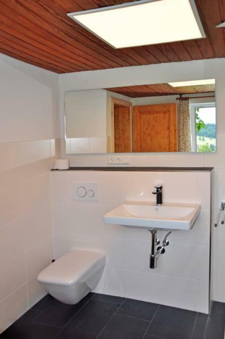 Echtes Schwarzwaldhaus - Traditionell & Modern * Bernau im Schwarzwald