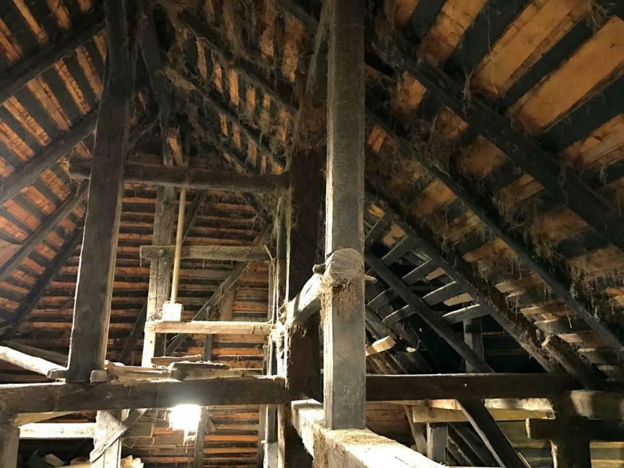 Echtes Schwarzwaldhaus - Traditionell & Modern Bernau im Schwarzwald