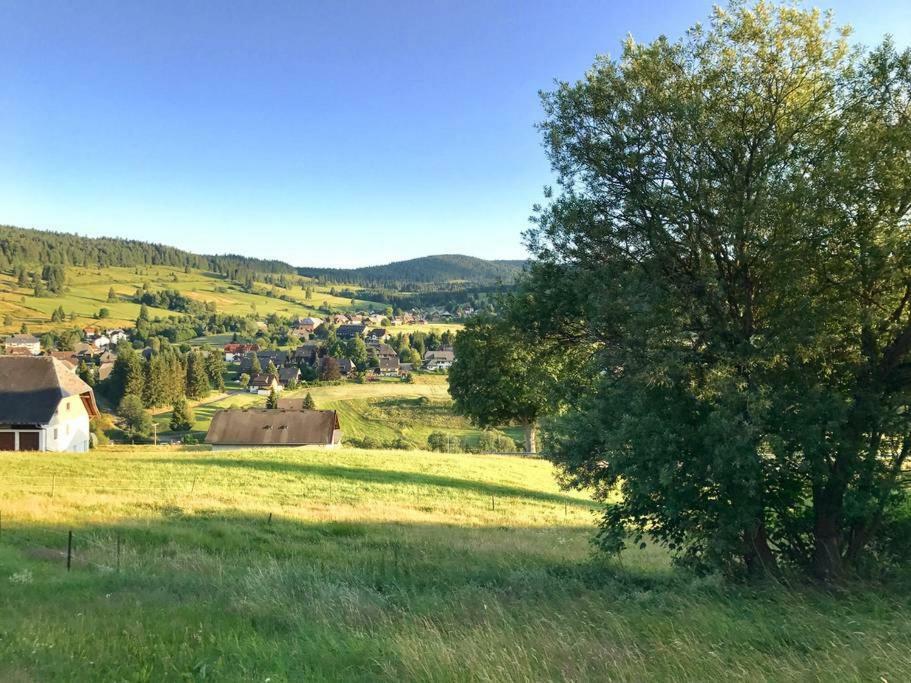 Echtes Schwarzwaldhaus - Traditionell & Modern