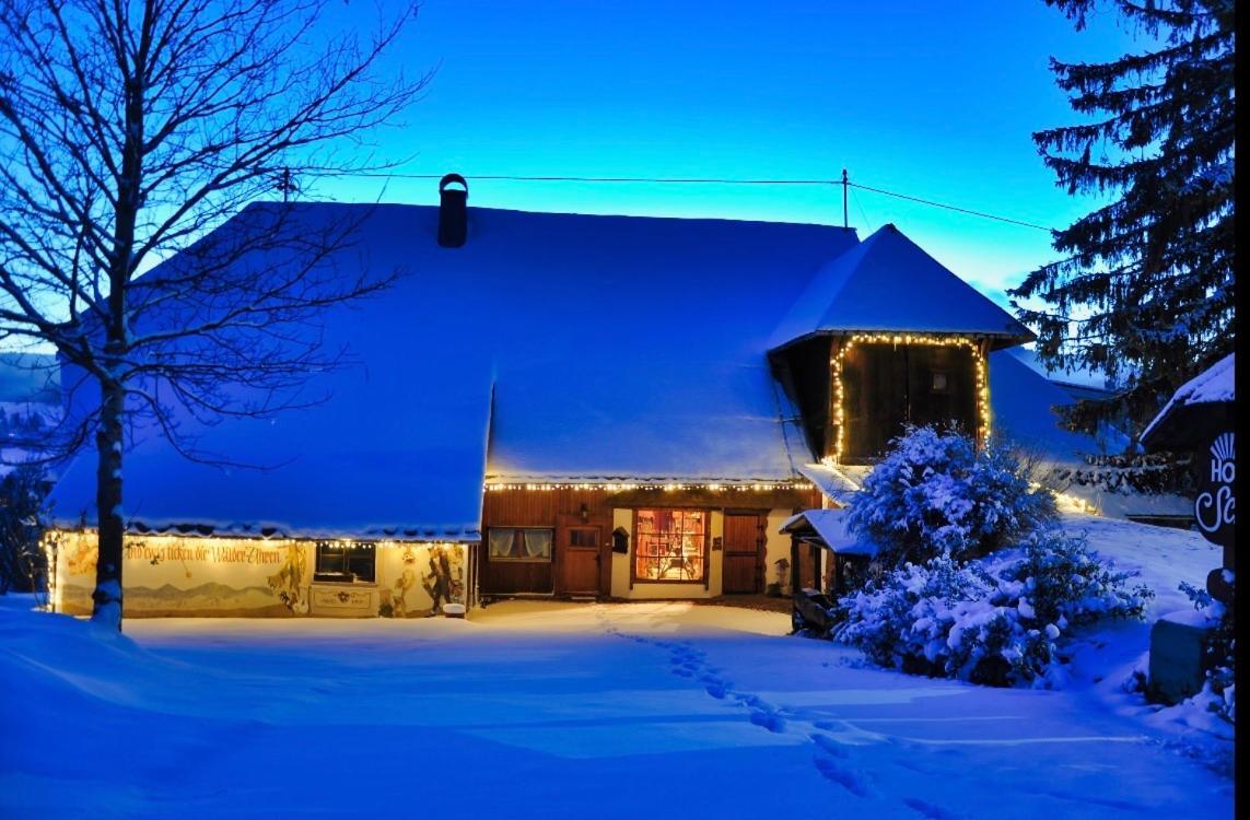 Echtes Schwarzwaldhaus - Traditionell & Modern Appartamento Bernau im Schwarzwald